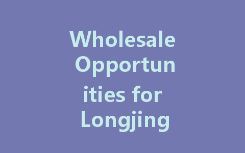 Wholesale Opportunities for Longjing Constant Voltage LED Drivers