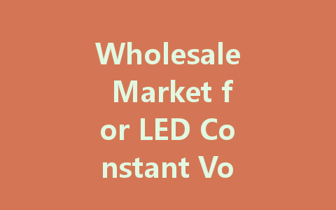 Wholesale Market for LED Constant Voltage Drivers: Exploring Key Suppliers and Trends