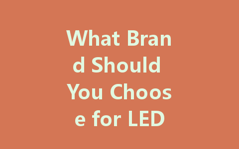What Brand Should You Choose for LED Constant Voltage Drive Power Supply?